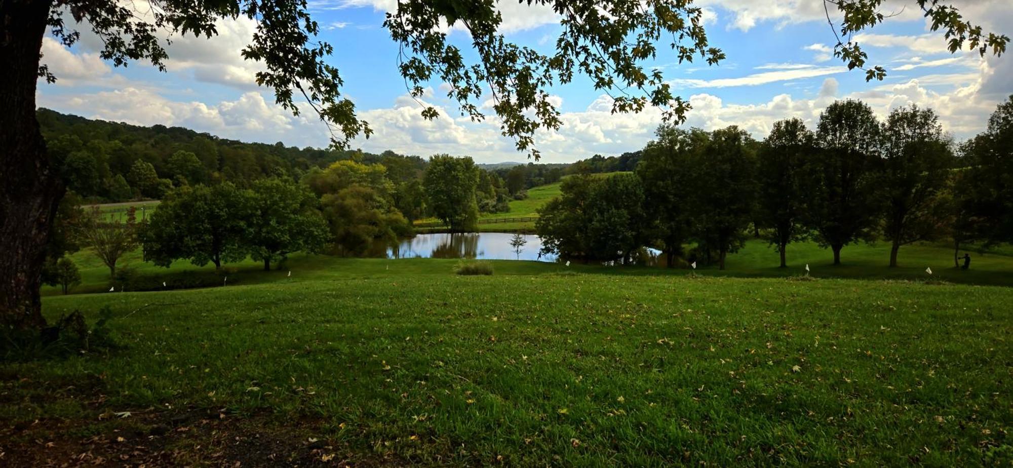 West Park Gardens Hotel Culpeper Quarto foto